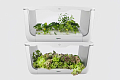 VegeBox H-BOX-L2