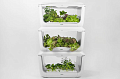 VegeBox H-BOX-L3