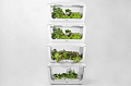 VegeBox H-BOX-L4